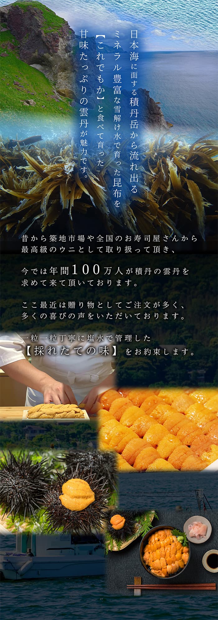 日本海に面する積丹岳から流れ出るミネラル豊富な雪解け水で育った昆布を【これでもか】と食べて育った甘味たっぷりの雲丹が魅力です。
