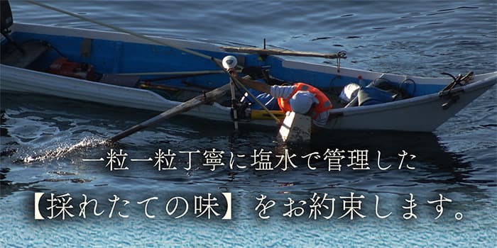 一粒一粒丁寧に塩水で管理した【採れたての味】をお約束します。