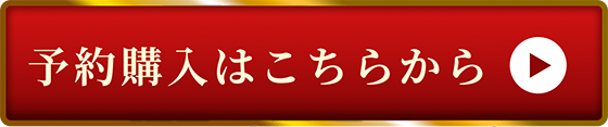予約購入はこちらから
