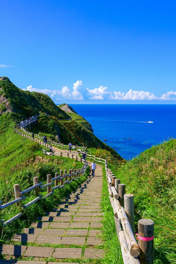 神威岬の写真(北海道積丹町)
